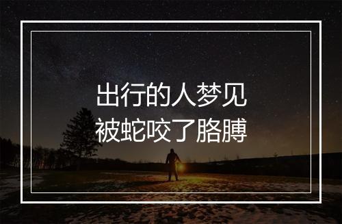 出行的人梦见被蛇咬了胳膊