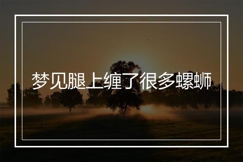 梦见腿上缠了很多螺蛳