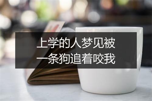 上学的人梦见被一条狗追着咬我