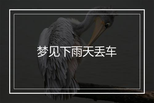 梦见下雨天丢车