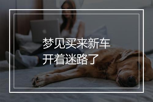 梦见买来新车开着迷路了