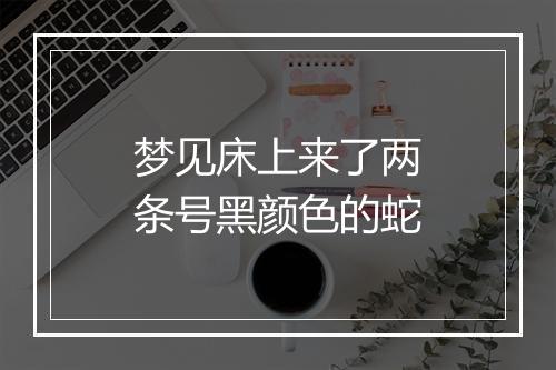 梦见床上来了两条号黑颜色的蛇