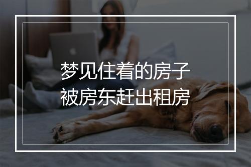 梦见住着的房子被房东赶出租房