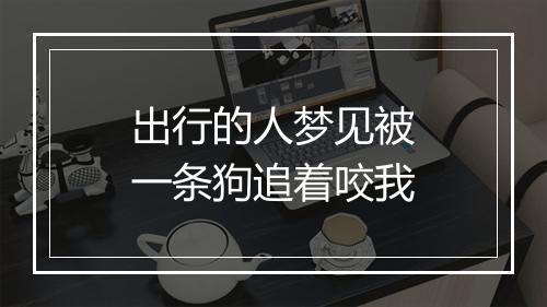 出行的人梦见被一条狗追着咬我