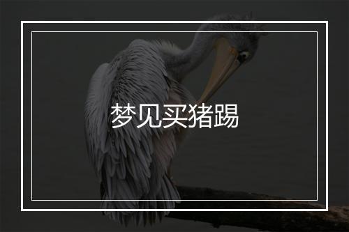 梦见买猪踢