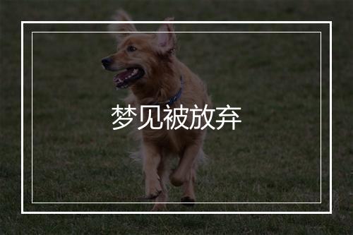 梦见被放弃