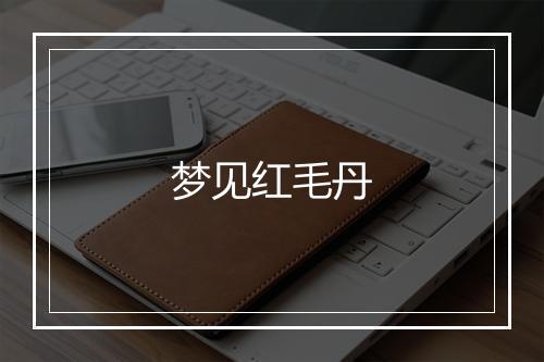 梦见红毛丹