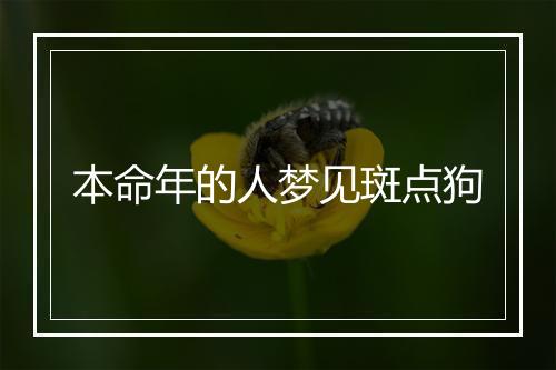 本命年的人梦见斑点狗