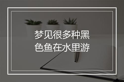 梦见很多种黑色鱼在水里游