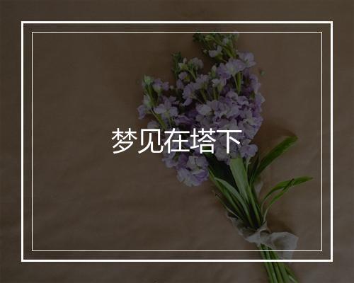 梦见在塔下