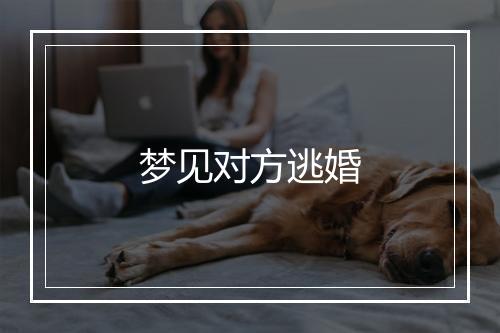 梦见对方逃婚