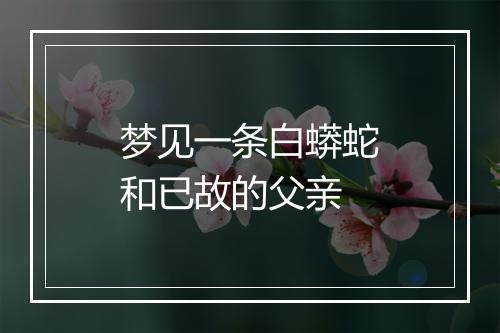 梦见一条白蟒蛇和已故的父亲