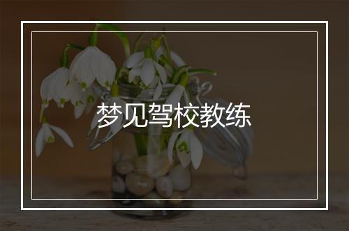 梦见驾校教练