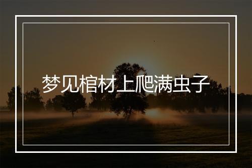 梦见棺材上爬满虫子