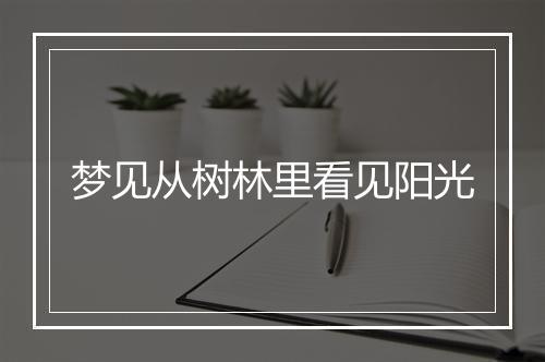 梦见从树林里看见阳光