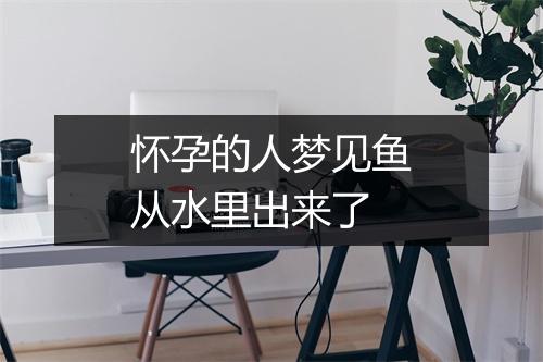 怀孕的人梦见鱼从水里出来了