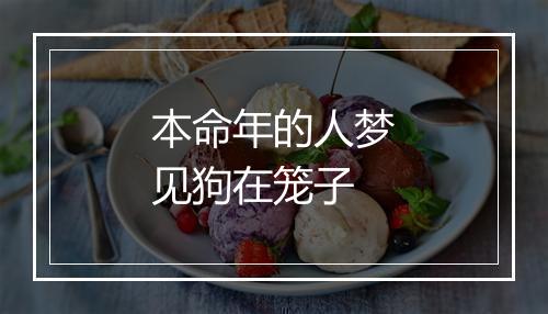 本命年的人梦见狗在笼子