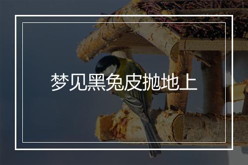 梦见黑兔皮抛地上