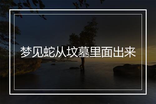 梦见蛇从坟墓里面出来