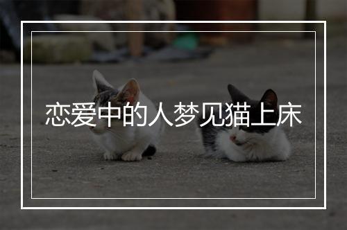 恋爱中的人梦见猫上床