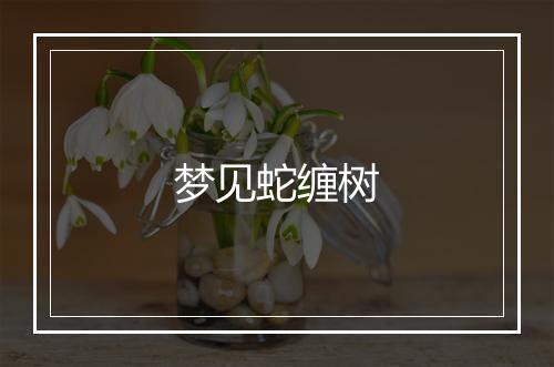 梦见蛇缠树