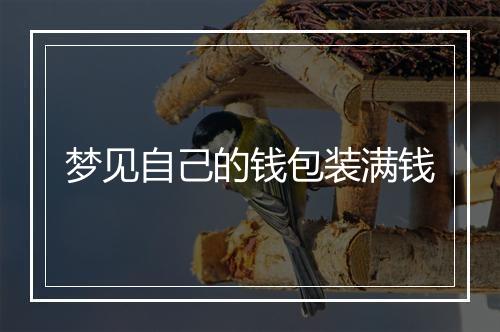 梦见自己的钱包装满钱