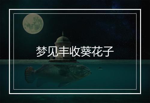 梦见丰收葵花子