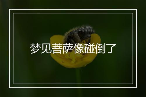 梦见菩萨像碰倒了