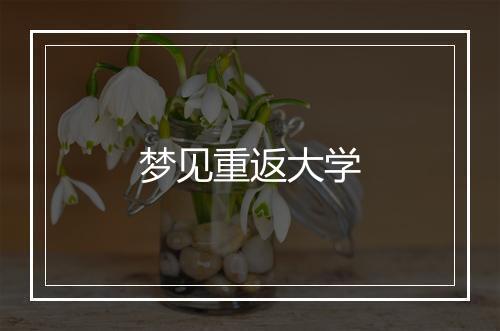 梦见重返大学