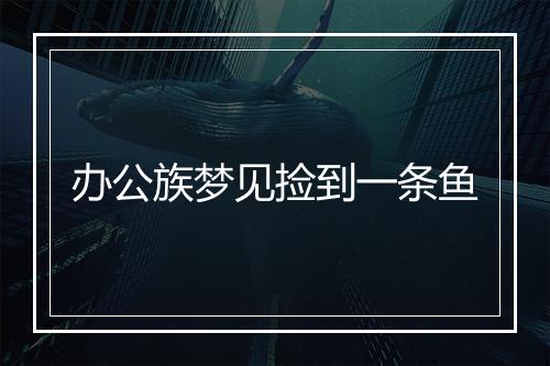 办公族梦见捡到一条鱼