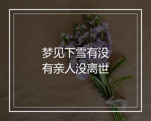 梦见下雪有没有亲人没离世