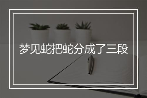 梦见蛇把蛇分成了三段