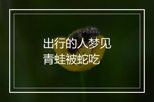 出行的人梦见青蛙被蛇吃