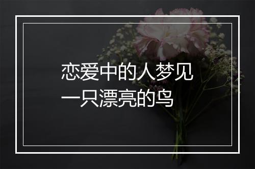 恋爱中的人梦见一只漂亮的鸟