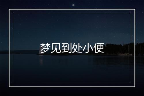 梦见到处小便