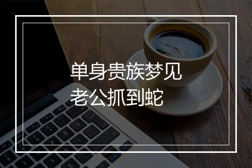 单身贵族梦见老公抓到蛇