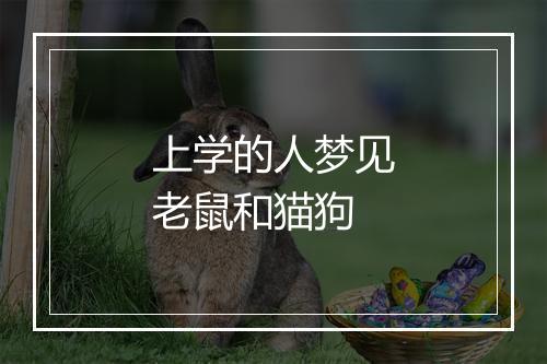 上学的人梦见老鼠和猫狗