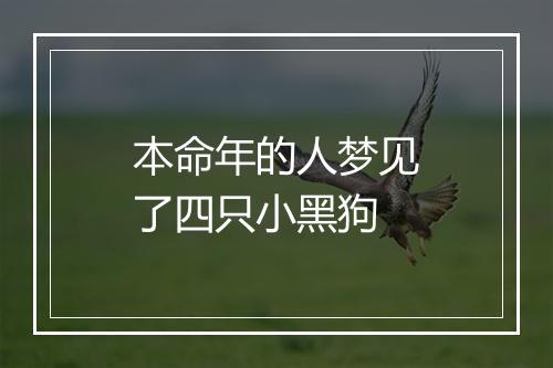 本命年的人梦见了四只小黑狗