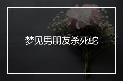 梦见男朋友杀死蛇