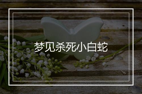 梦见杀死小白蛇