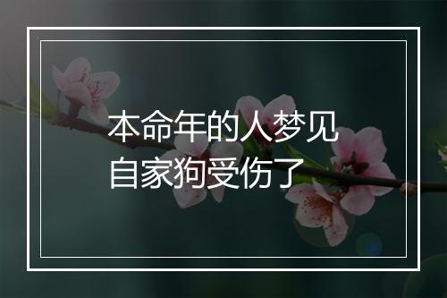 本命年的人梦见自家狗受伤了