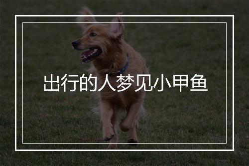 出行的人梦见小甲鱼