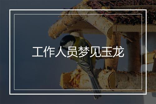 工作人员梦见玉龙