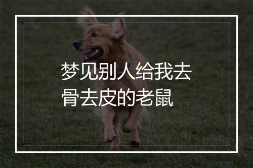 梦见别人给我去骨去皮的老鼠