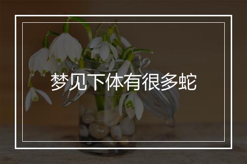 梦见下体有很多蛇