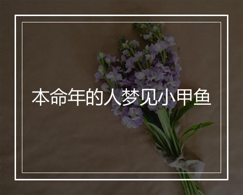 本命年的人梦见小甲鱼