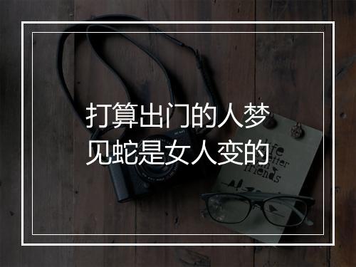 打算出门的人梦见蛇是女人变的