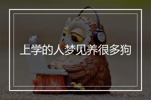 上学的人梦见养很多狗