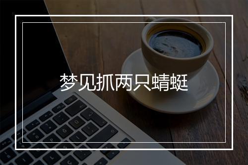 梦见抓两只蜻蜓