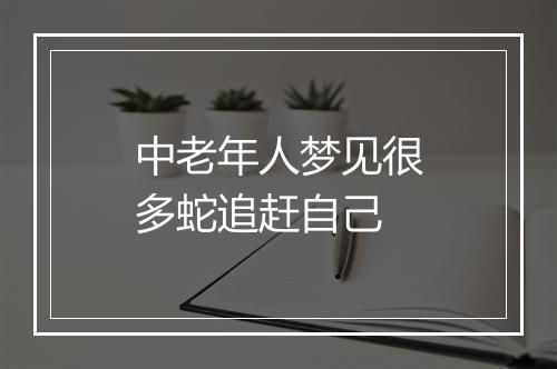 中老年人梦见很多蛇追赶自己